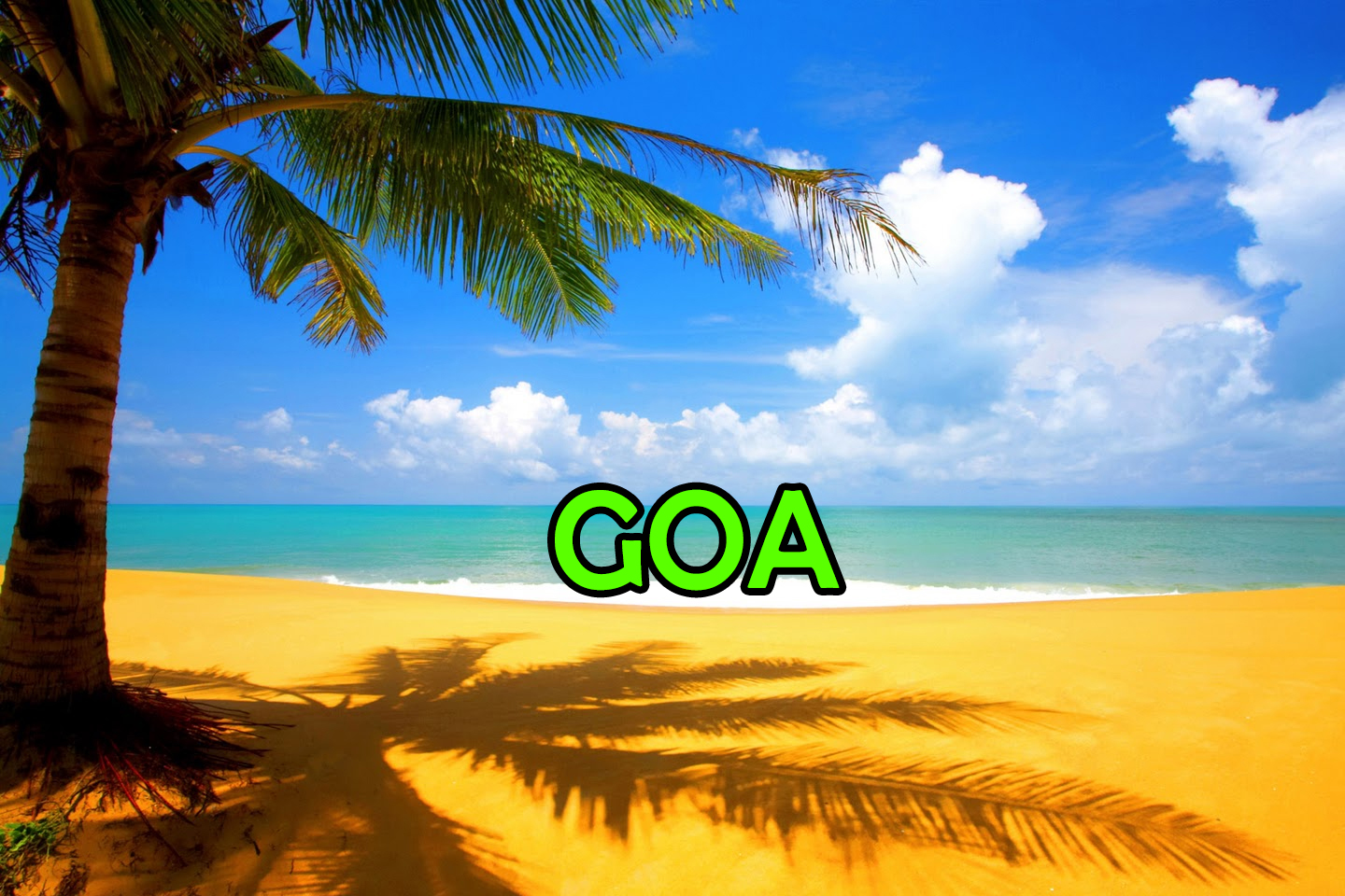 GO GOA